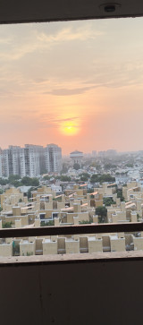Raj, 23, India