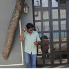 Zain