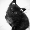 Circe