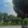 Sunny