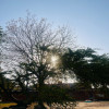 Saurabh