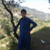 Sani Dil