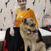 Sheela