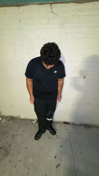 Armin Horvath, 18, United States