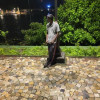 Rohit