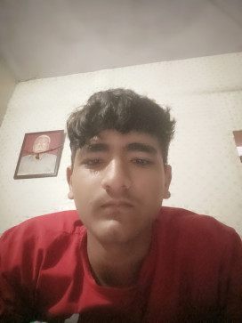 Laksh Sharma, 18, United States