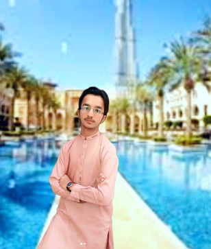 The Ahsan Gaming, 18, United States