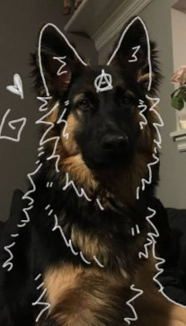K9girl, 18, United States