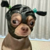 Rosie