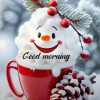 ayush