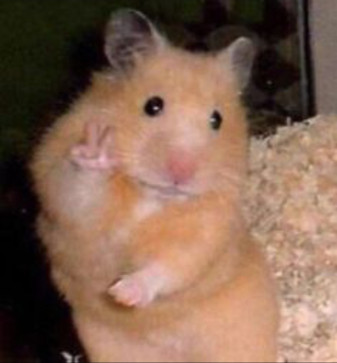 For The Cool Ones, 18, India