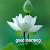 Vishal