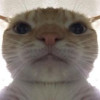 MikeGx609