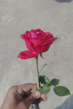 Rehan, 20, India