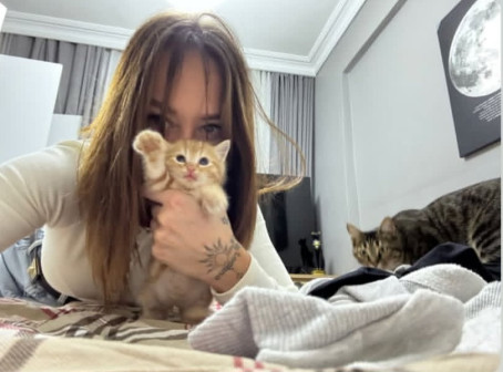 Gangsta, 27, United States