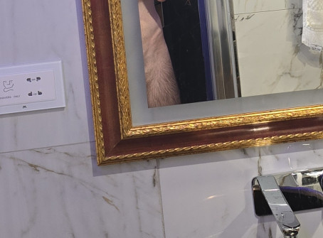 Antonio, 27, Malta