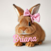 Briana