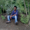 Nitin Tekam