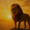 Varun