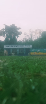 Excuse Burma, 27, India