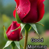 Rahul Kumar