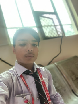Manav Sharma, 19, India