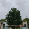 Raj