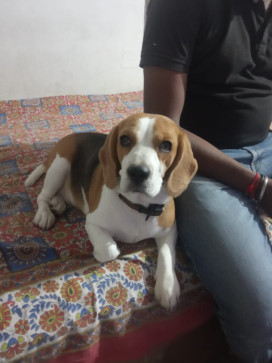 Deepak, 40, India