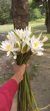 Samayak, 18, India