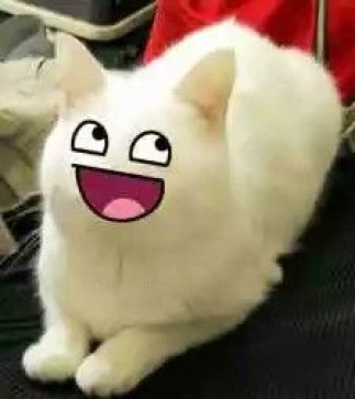 Insertcheesybread, 18, United States