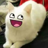 insertcheesybread