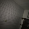 Bilo Nap