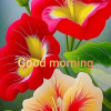 Rakesh