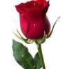 Ritesh026