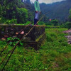 Ajay