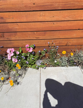 Okkbun, 18, New Zealand