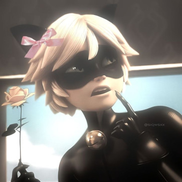 Cat Noir, 18, India