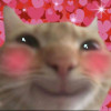 Happi happi biskut