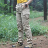Ardi