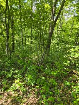 Winter, 50, United States