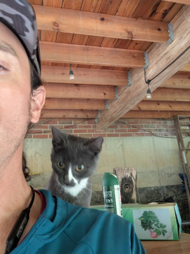Waldo Calrissian, 38, United States