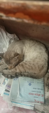 Pure_soul, 43, India