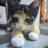 Mohsinqureshi
