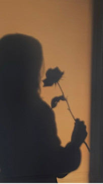 Butterfly, 21, India