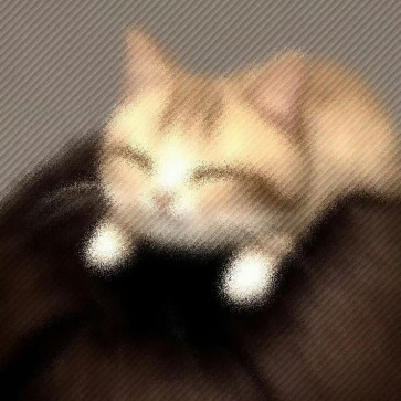 Pawcelain, 21, Germany