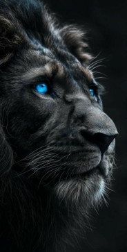 Asutosh Dash, 18, India