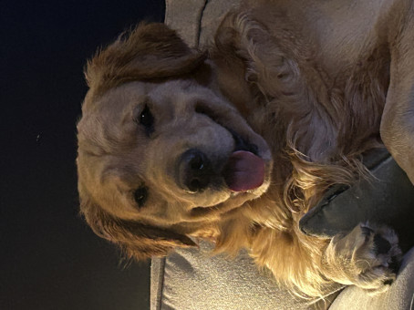 Canuck84, 40, Canada