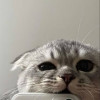 Not_soo_haallal