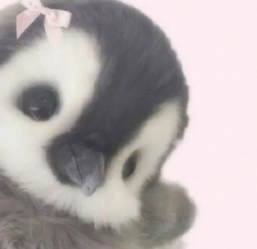 Aastha Sharma, 98, India