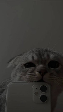 Not_sooo_haallal, 23, India
